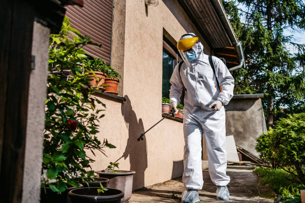 Best Emergency Pest Control  in Cane Savannah, SC